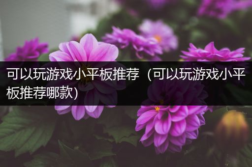 可以玩游戏小平板推荐（可以玩游戏小平板推荐哪款）
