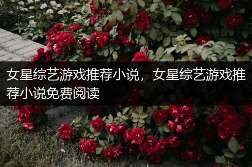 女星综艺游戏推荐小说，女星综艺游戏推荐小说免费阅读