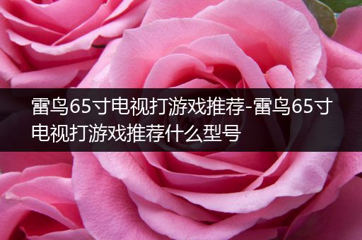 雷鸟65寸电视打游戏推荐-雷鸟65寸电视打游戏推荐什么型号
