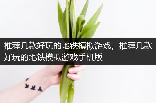 推荐几款好玩的地铁模拟游戏，推荐几款好玩的地铁模拟游戏手机版