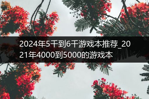 2024年5千到6千游戏本推荐_2021年4000到5000的游戏本