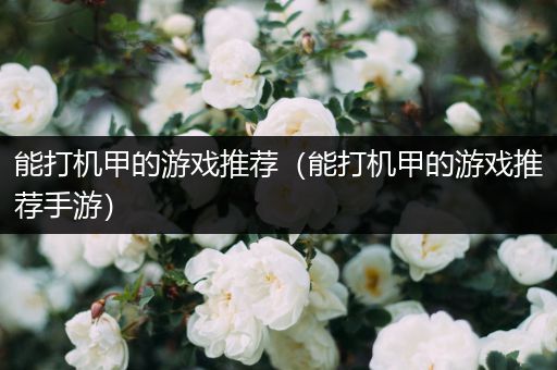 能打机甲的游戏推荐（能打机甲的游戏推荐手游）