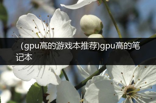 （gpu高的游戏本推荐)gpu高的笔记本