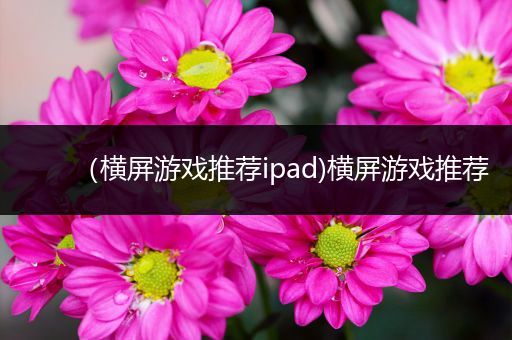（横屏游戏推荐ipad)横屏游戏推荐