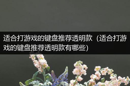 适合打游戏的键盘推荐透明款（适合打游戏的键盘推荐透明款有哪些）
