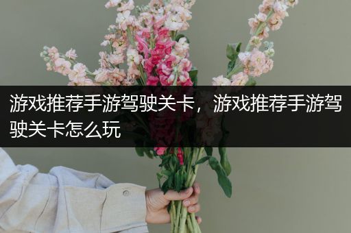 游戏推荐手游驾驶关卡，游戏推荐手游驾驶关卡怎么玩