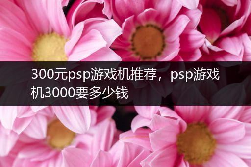 300元psp游戏机推荐，psp游戏机3000要多少钱