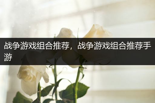 战争游戏组合推荐，战争游戏组合推荐手游