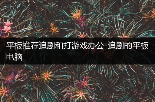 平板推荐追剧和打游戏办公-追剧的平板电脑