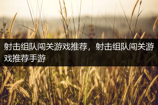 射击组队闯关游戏推荐，射击组队闯关游戏推荐手游