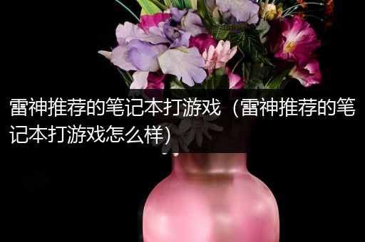 雷神推荐的笔记本打游戏（雷神推荐的笔记本打游戏怎么样）