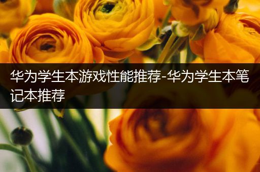 华为学生本游戏性能推荐-华为学生本笔记本推荐