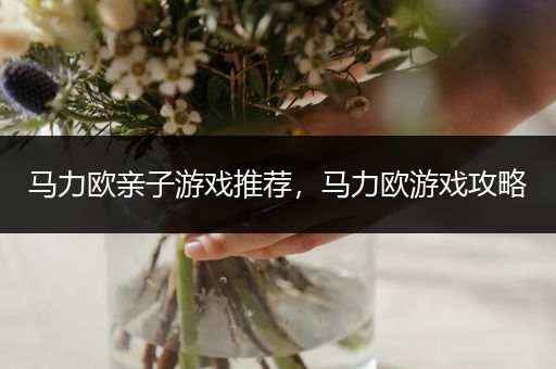 马力欧亲子游戏推荐，马力欧游戏攻略