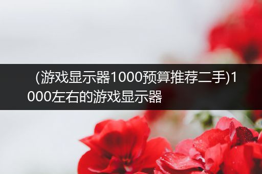 （游戏显示器1000预算推荐二手)1000左右的游戏显示器