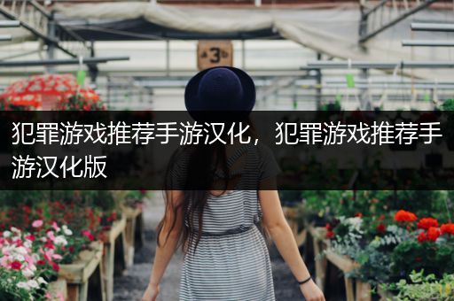犯罪游戏推荐手游汉化，犯罪游戏推荐手游汉化版
