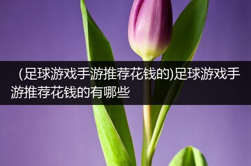 （足球游戏手游推荐花钱的)足球游戏手游推荐花钱的有哪些