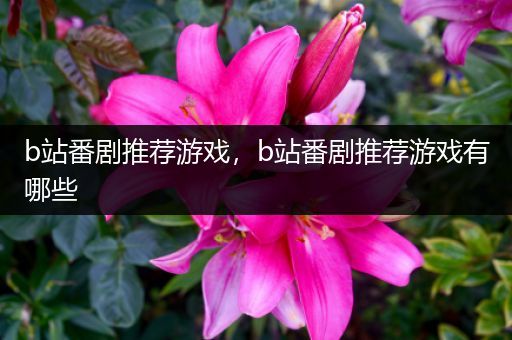 b站番剧推荐游戏，b站番剧推荐游戏有哪些