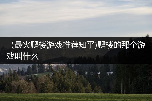 （最火爬楼游戏推荐知乎)爬楼的那个游戏叫什么
