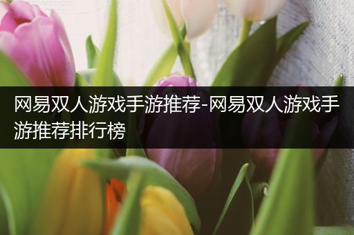网易双人游戏手游推荐-网易双人游戏手游推荐排行榜