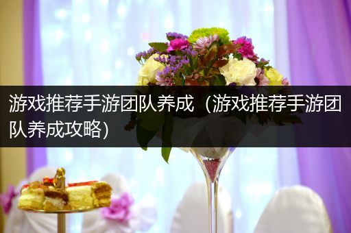 游戏推荐手游团队养成（游戏推荐手游团队养成攻略）