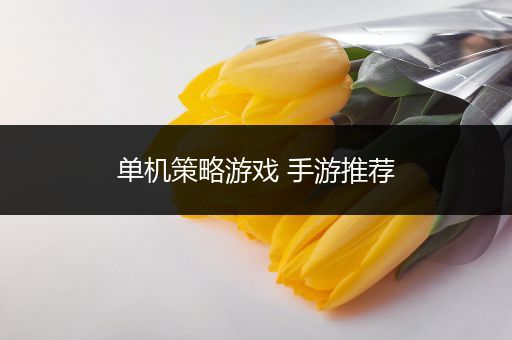 单机策略游戏 手游推荐