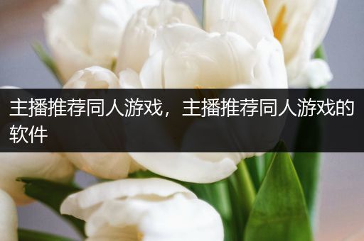 主播推荐同人游戏，主播推荐同人游戏的软件