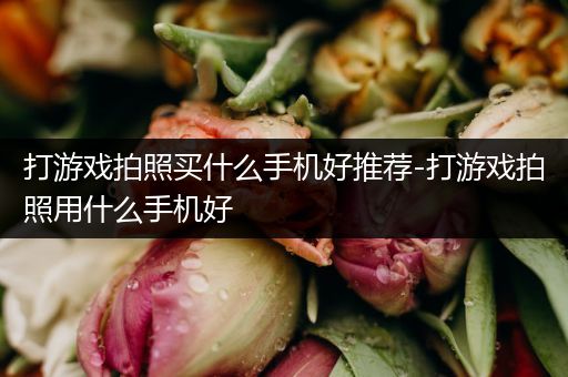打游戏拍照买什么手机好推荐-打游戏拍照用什么手机好