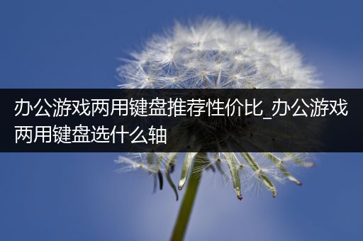 办公游戏两用键盘推荐性价比_办公游戏两用键盘选什么轴