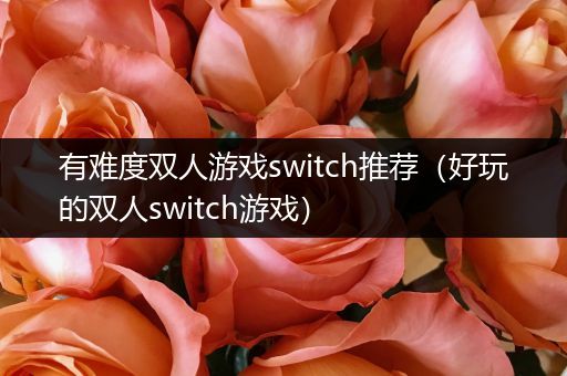 有难度双人游戏switch推荐（好玩的双人switch游戏）