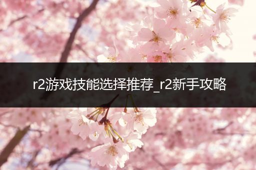 r2游戏技能选择推荐_r2新手攻略