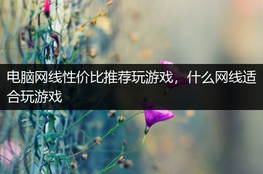 电脑网线性价比推荐玩游戏，什么网线适合玩游戏