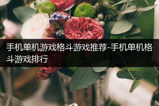 手机单机游戏格斗游戏推荐-手机单机格斗游戏排行