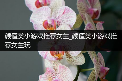 颜值类小游戏推荐女生_颜值类小游戏推荐女生玩