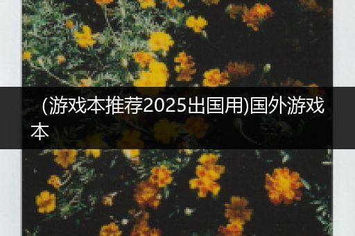 （游戏本推荐2025出国用)国外游戏本