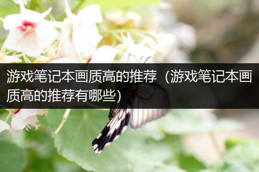 游戏笔记本画质高的推荐（游戏笔记本画质高的推荐有哪些）