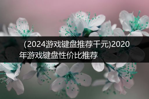 （2024游戏键盘推荐千元)2020年游戏键盘性价比推荐