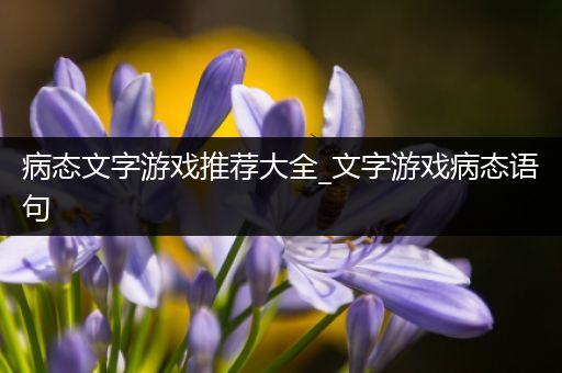 病态文字游戏推荐大全_文字游戏病态语句