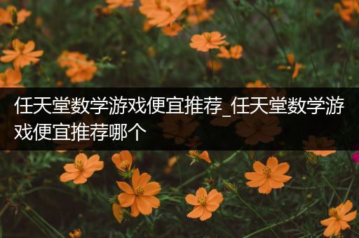 任天堂数学游戏便宜推荐_任天堂数学游戏便宜推荐哪个