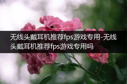 无线头戴耳机推荐fps游戏专用-无线头戴耳机推荐fps游戏专用吗