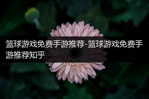 篮球游戏免费手游推荐-篮球游戏免费手游推荐知乎
