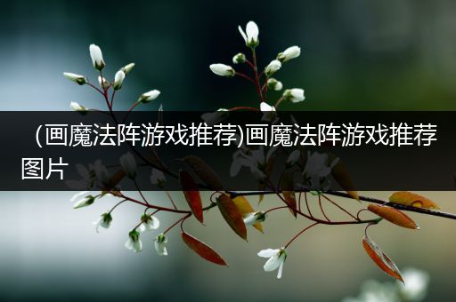 （画魔法阵游戏推荐)画魔法阵游戏推荐图片
