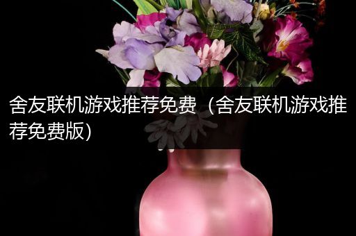 舍友联机游戏推荐免费（舍友联机游戏推荐免费版）