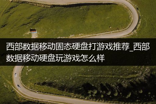 西部数据移动固态硬盘打游戏推荐_西部数据移动硬盘玩游戏怎么样