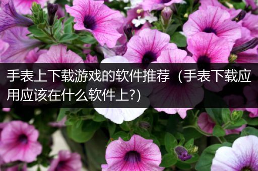 手表上下载游戏的软件推荐（手表下载应用应该在什么软件上?）