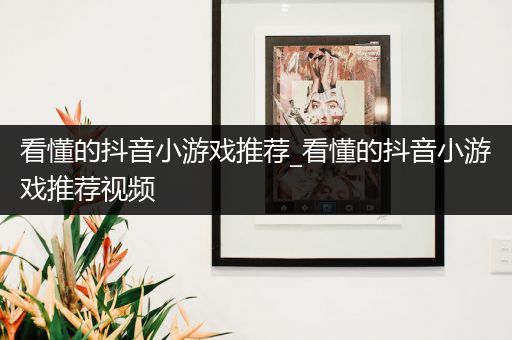 看懂的抖音小游戏推荐_看懂的抖音小游戏推荐视频