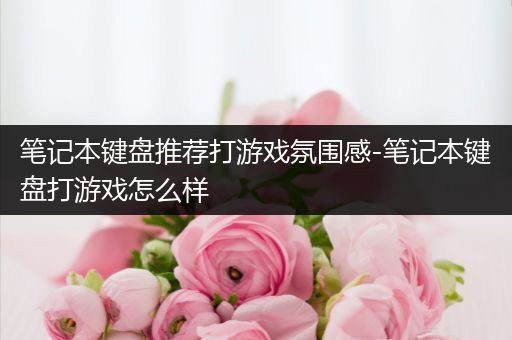 笔记本键盘推荐打游戏氛围感-笔记本键盘打游戏怎么样