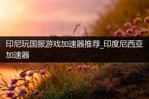 印尼玩国服游戏加速器推荐_印度尼西亚加速器