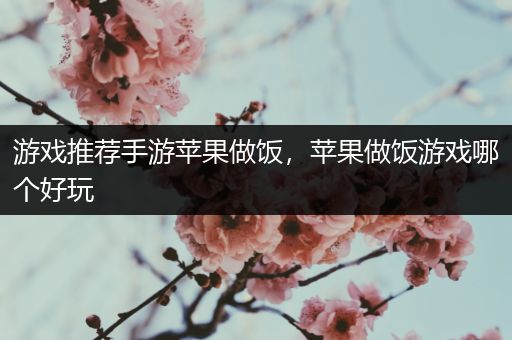 游戏推荐手游苹果做饭，苹果做饭游戏哪个好玩