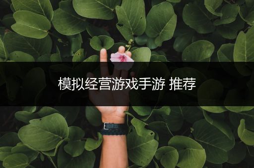 模拟经营游戏手游 推荐