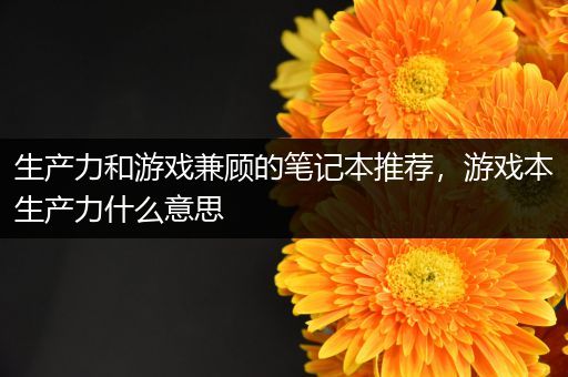 生产力和游戏兼顾的笔记本推荐，游戏本生产力什么意思